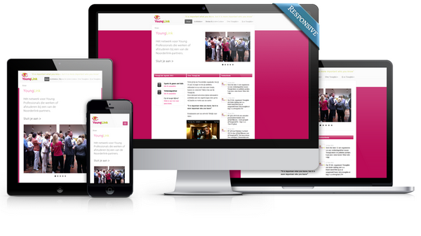 Responsive website YoungLink